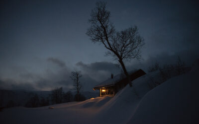 The Pandemic Persists…Winter Hibernation